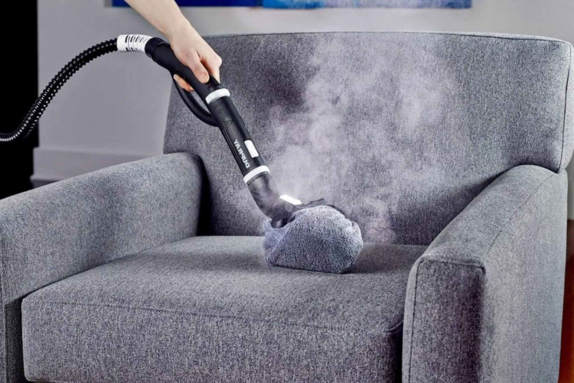 Sofa Cleaning Services