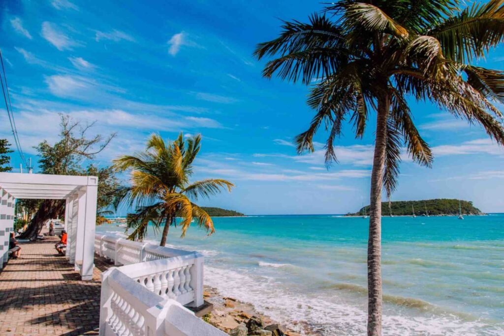Dont Delay Catch A Ride From San Juan Airport To Ceiba Ferry — Tips, Examples & Best Practices