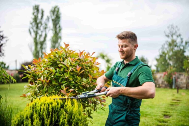Ornamental Pruning in Cook County, IL